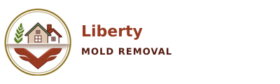 Liberty Mold Removal